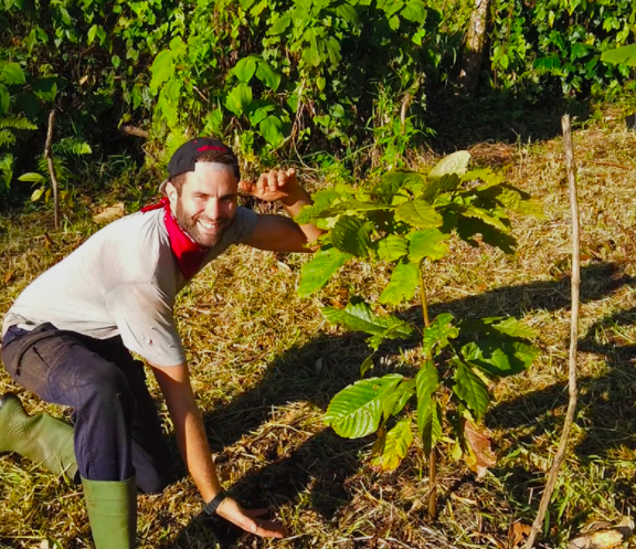 Une aventure d'agroforesterie en Guadeloupe
