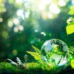 Environment. Glass Globe On Grass Moss In Forest – Green Planet