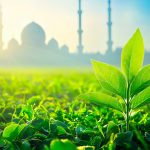 Des mosquées vertes dans le monde, pourquoi l'Islam peut porter la question écologique AdobeStock_1378180185