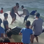 Des panneaux solaires embarqués sur l'un des bateaux de la Global Sumud Flotilla se sont échoués à Gaza Panneaux solaires ok